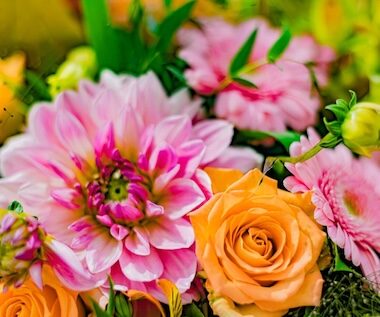 AdobeStock 456670310thumbnail